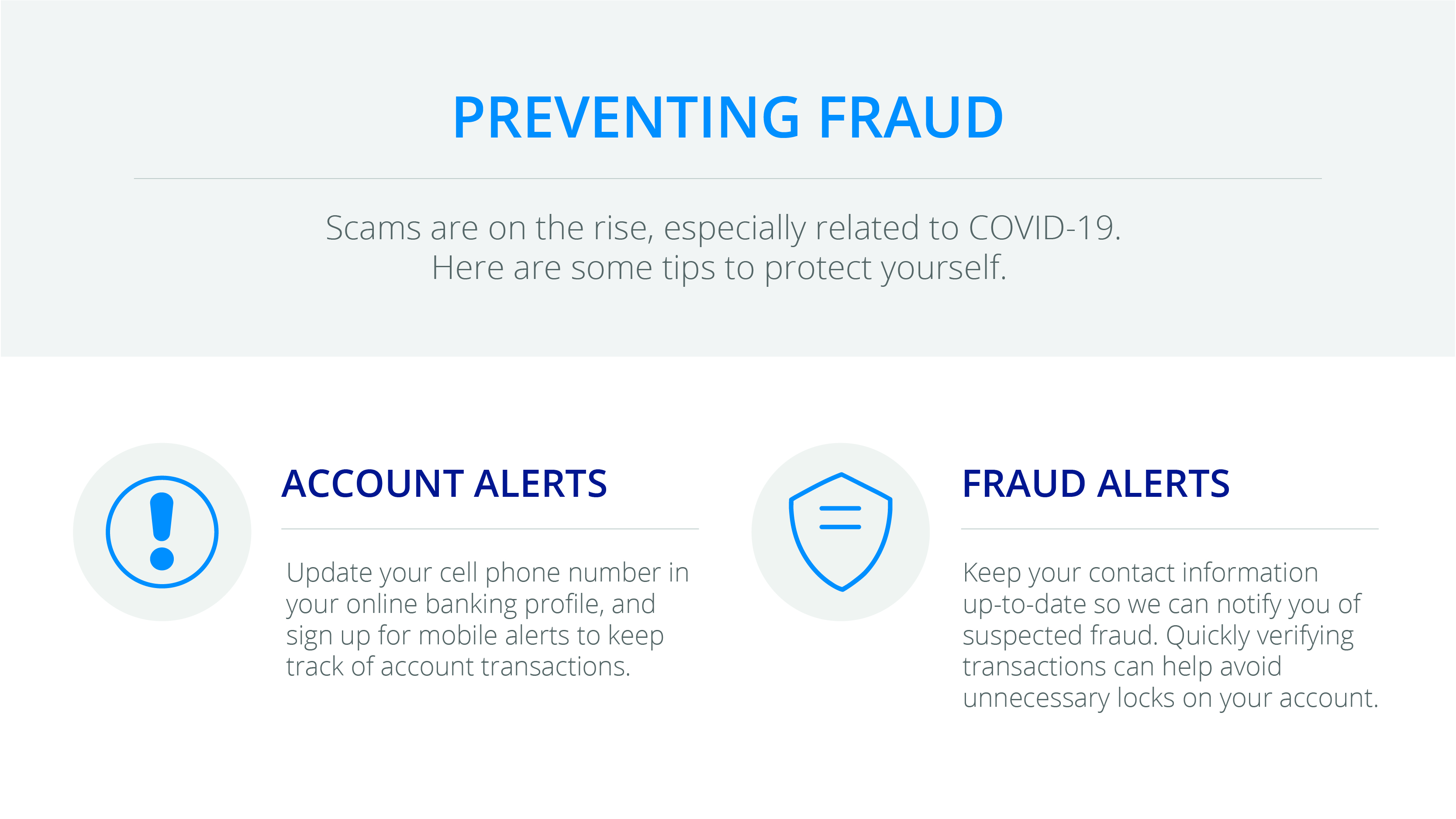 Preventing Fraud - Full